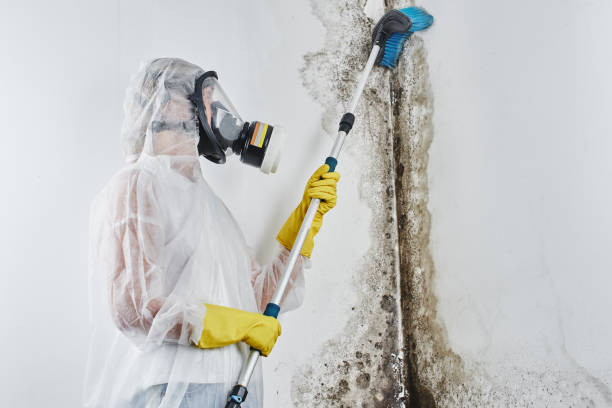 Best Emergency Mold Removal  in Arma, KS