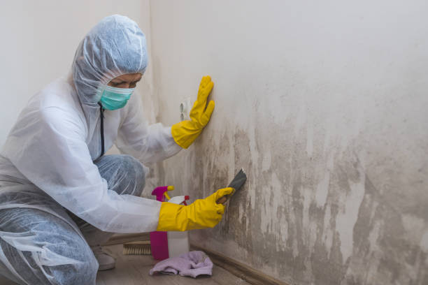 Best Crawl Space Mold Removal  in Arma, KS