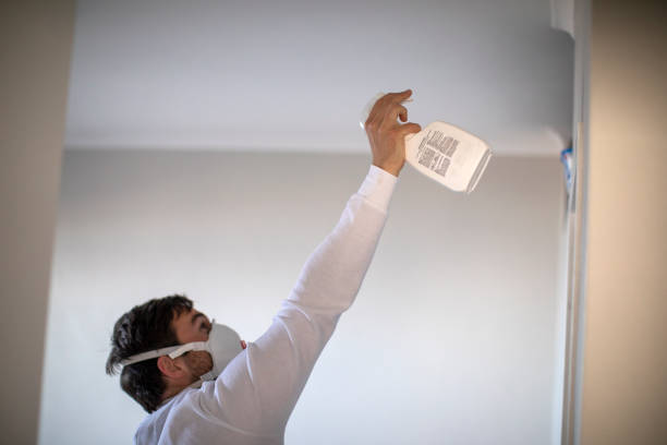 Best Commercial Mold Removal  in Arma, KS