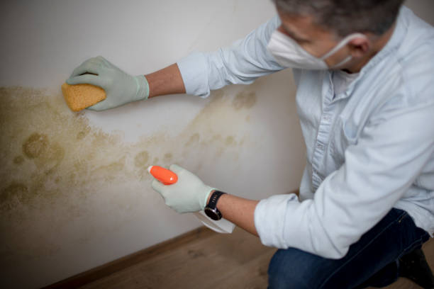 Water Damage Restoration in Arma, KS
