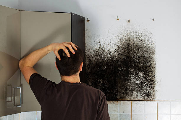 Best Mold Cleaning Services  in Arma, KS